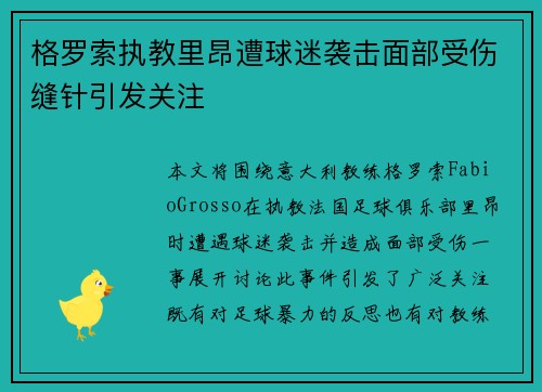 格罗索执教里昂遭球迷袭击面部受伤缝针引发关注 格罗索执教里昂遭球迷袭击面部受伤缝针引发关注